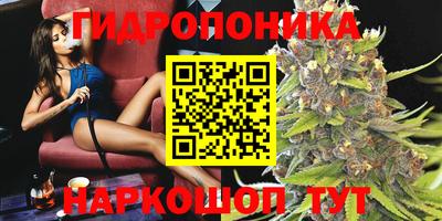 ПСИЛОЦИБИНОВЫЕ ГРИБЫ Канаш