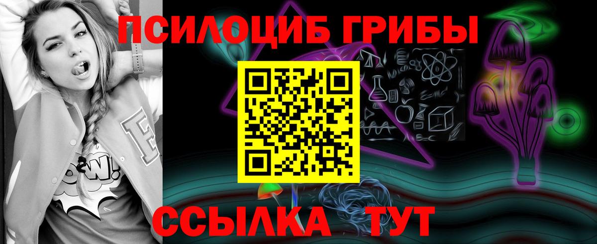Псилоцибиновые грибы мицелий Краснодар