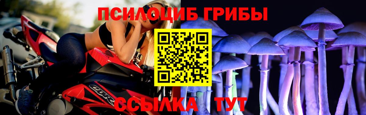 Краснодар  Псилоцибиновые грибы Psilocybine cubensis  Псилоцибиновые грибы Psilocybine cubensis  Вход с VPN 